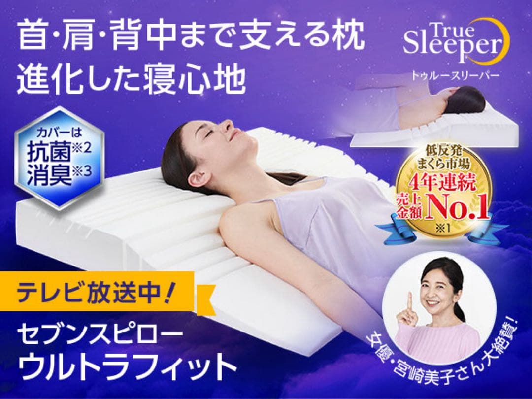 トゥルースリーパー　枕カバー　シルク　100％　19匁　セミダブルサイズ　日本製