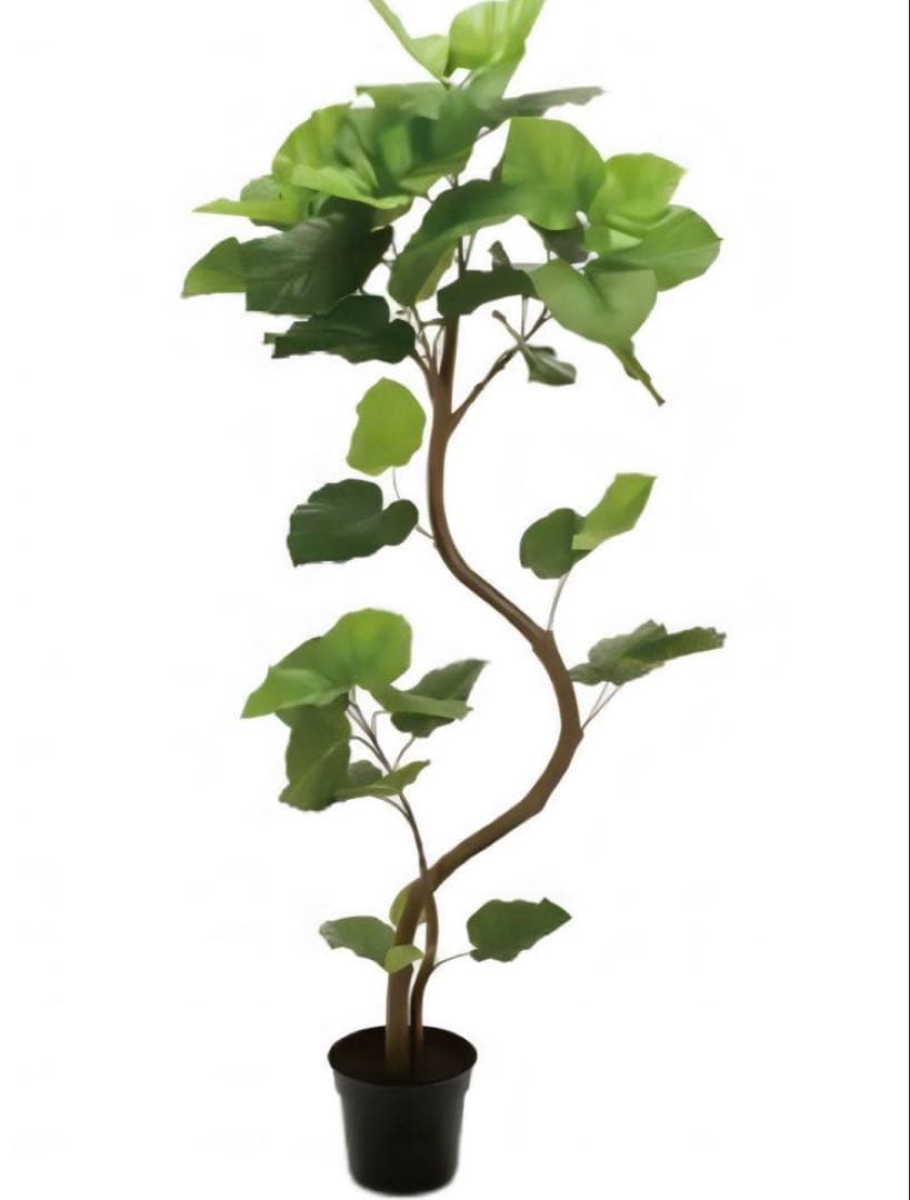 光触媒　人工観葉植物　フェイクグリーン　ウンベラータスパイラル5F