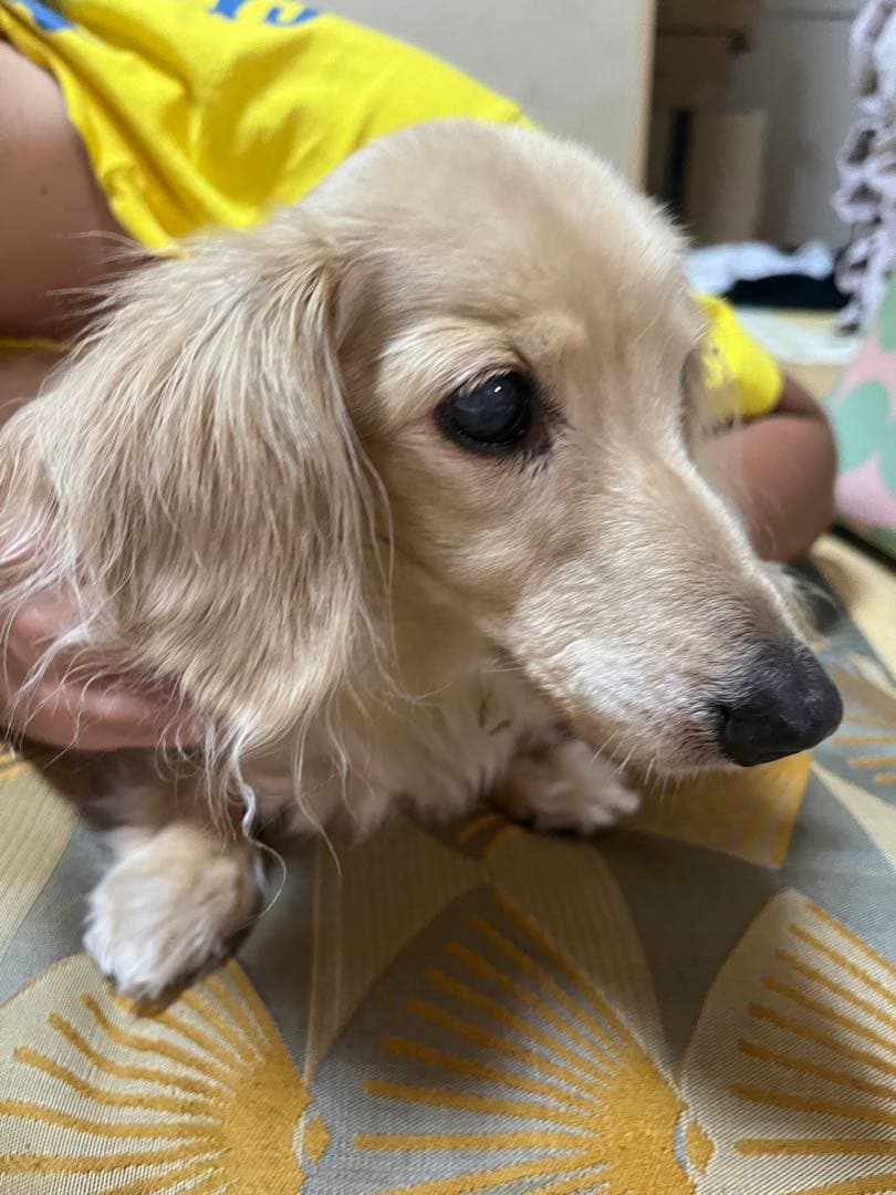 口元写真追加してみました