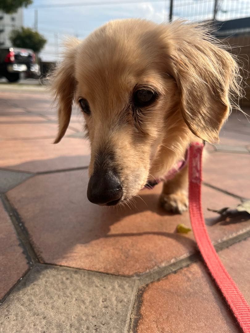 口元写真追加してみました