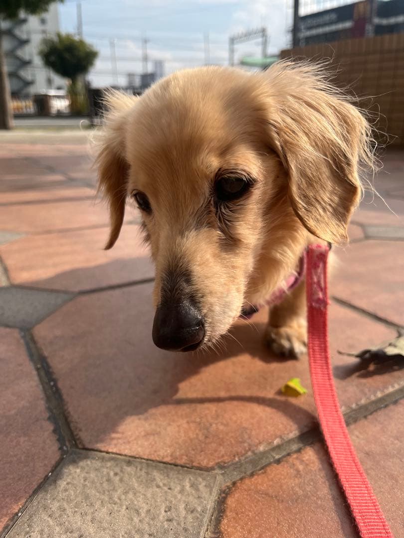 口元写真追加してみました