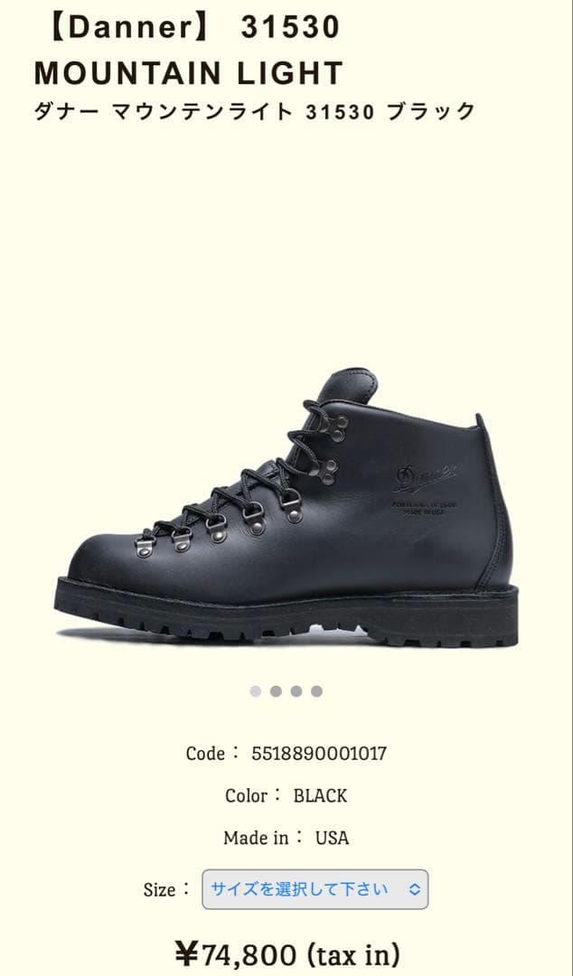 Danner ダナー　マウンテンライトブラック　#31530 およそ28cm