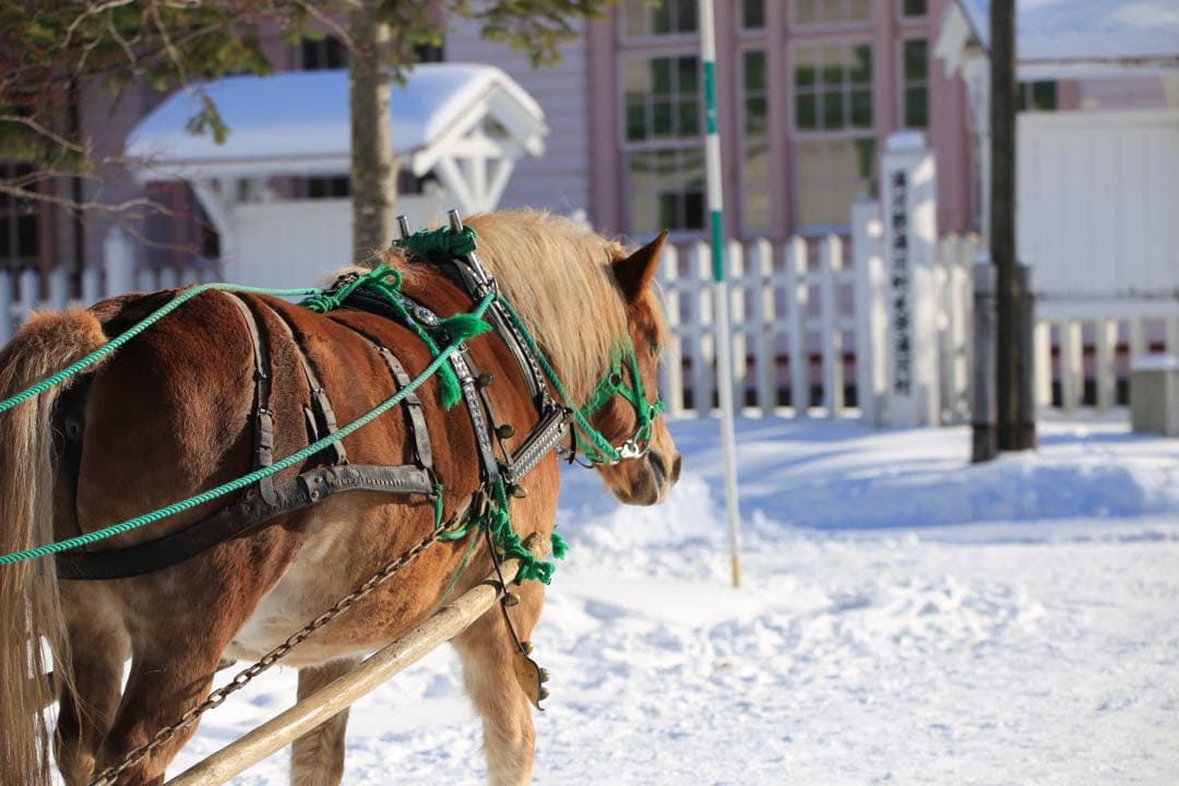 ⭐︎年末限定特価⭐︎EF マウントSIGMA 150-600 1:5-6.3 DG