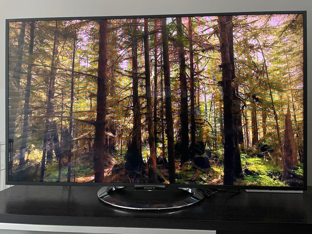 SONY BRAVIA 55インチ フルハイビジョン液晶テレビ