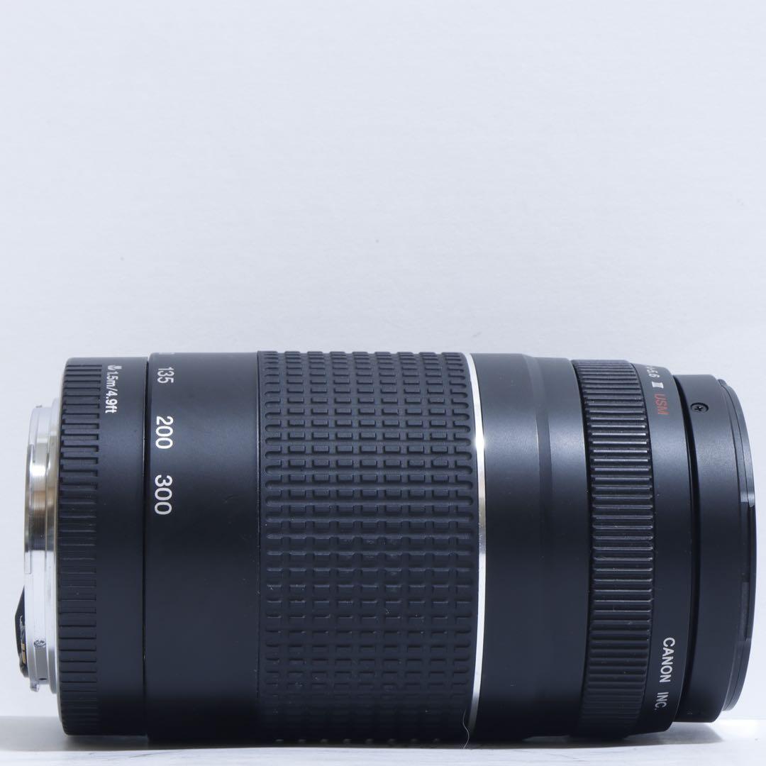 ◇超望遠&高速AF◇Canon純正 75-300mm Ⅲ型 超望遠レンズ!!◇