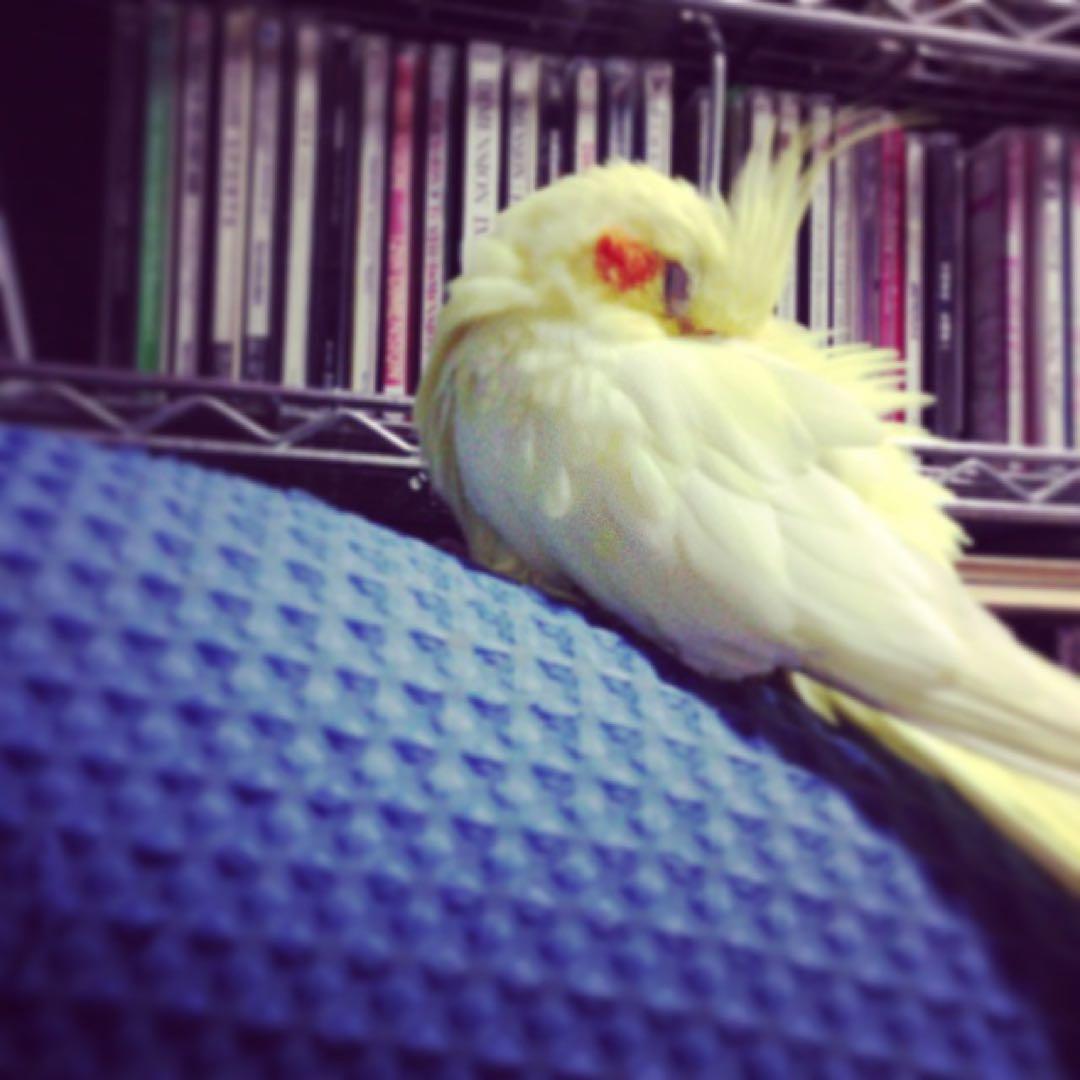 ぬまこさんとの連絡掲示板