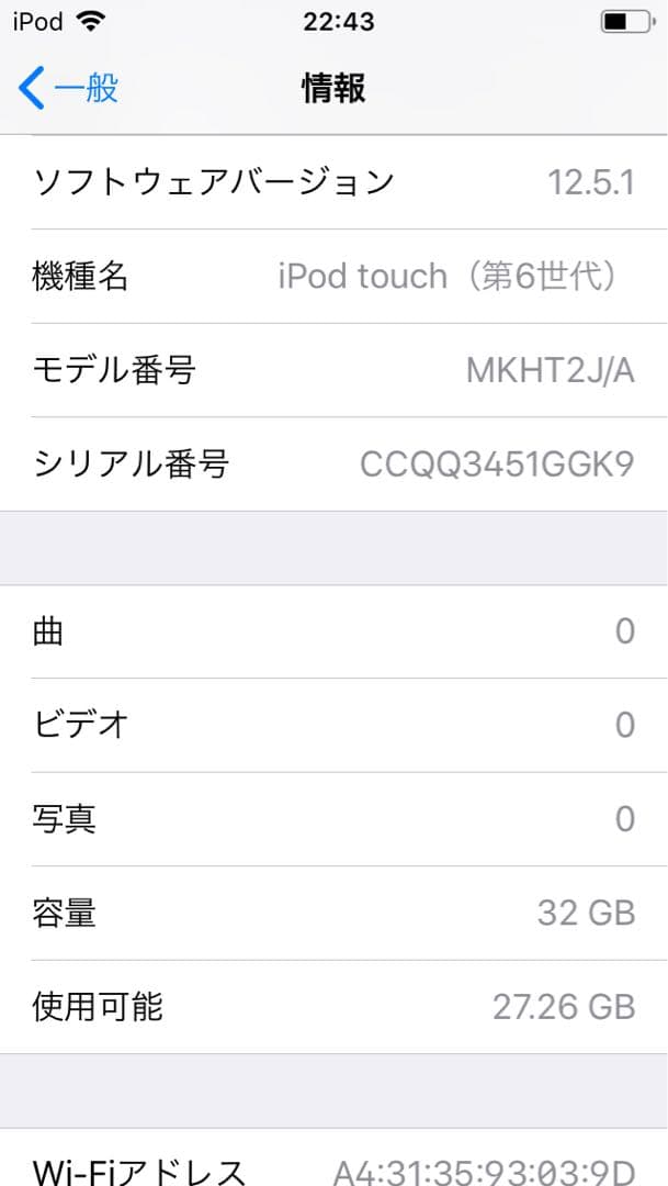 iPod touch (第6世代) 32GB 付属品完備