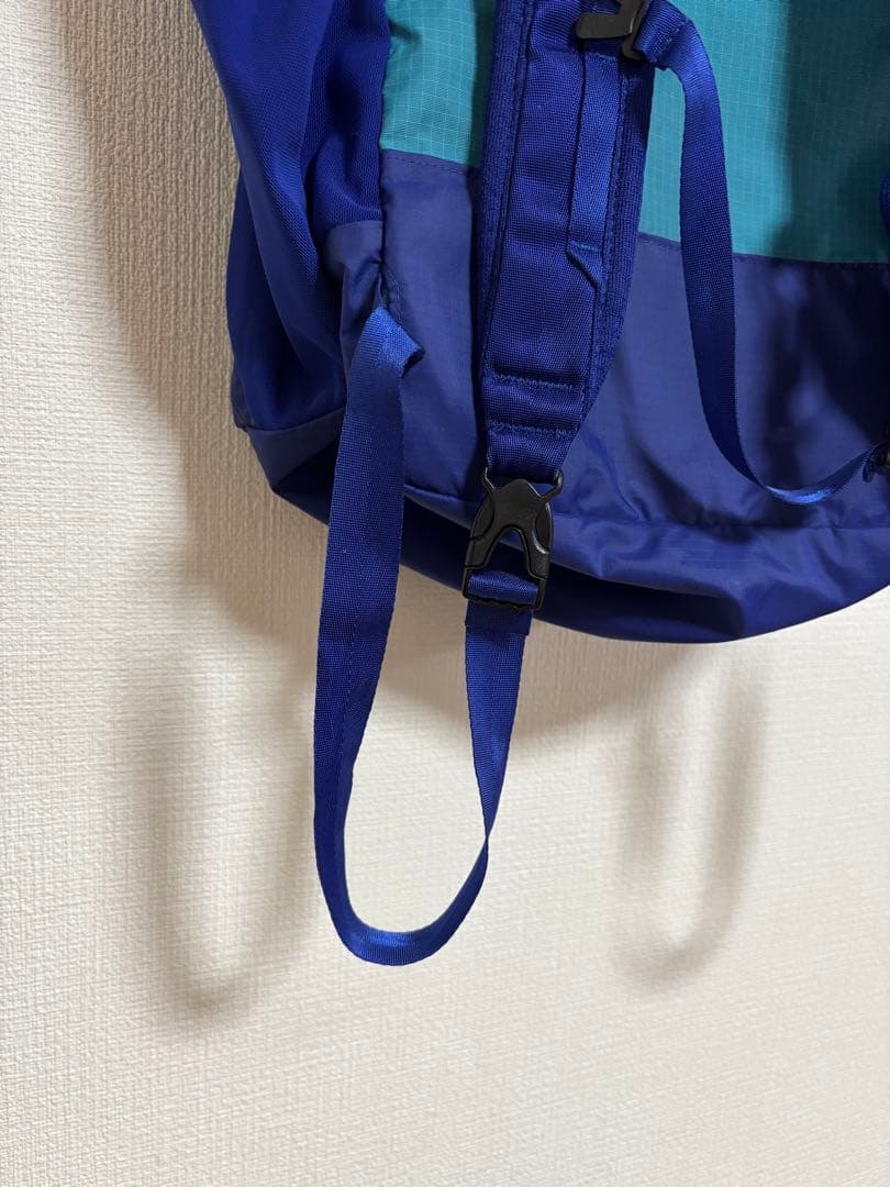 ✨美品　patagonia ウルトラライトブラックHole Tote Pack