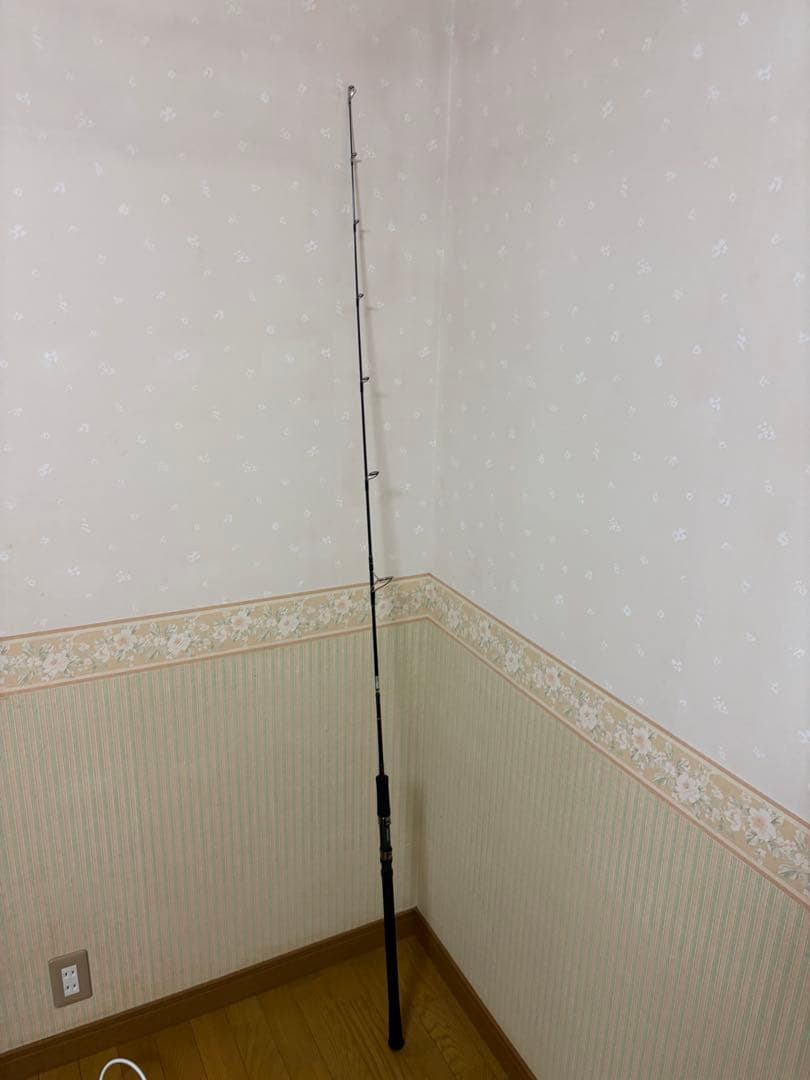 とらほー 天龍 ジグザム ワイルドマーク JWM611Sー2/4