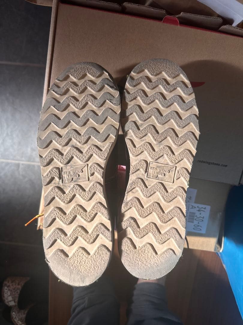 REDWING アイリッシュセッター US7 25cm 箱付き