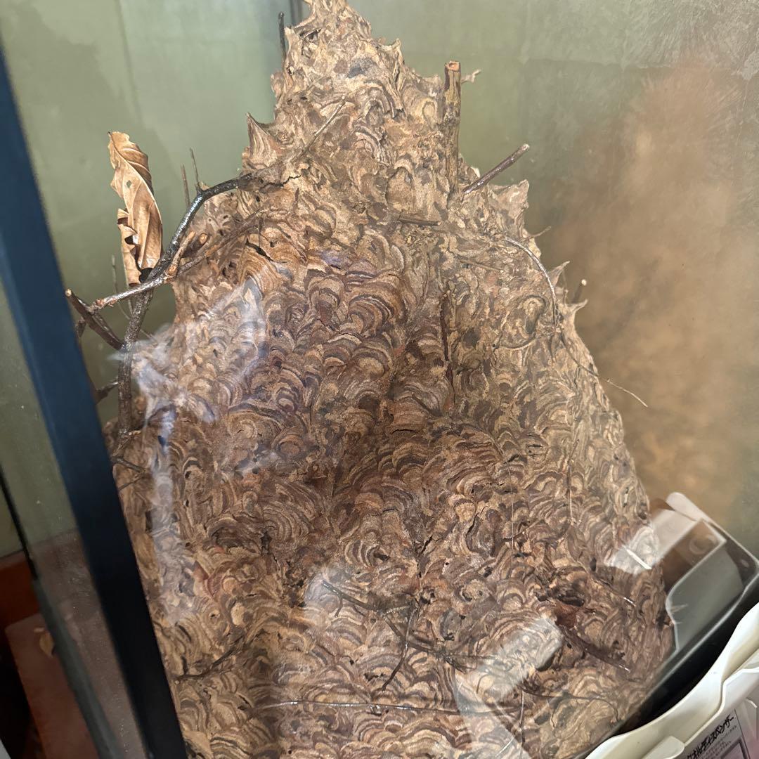 自然素材のユニークな置物