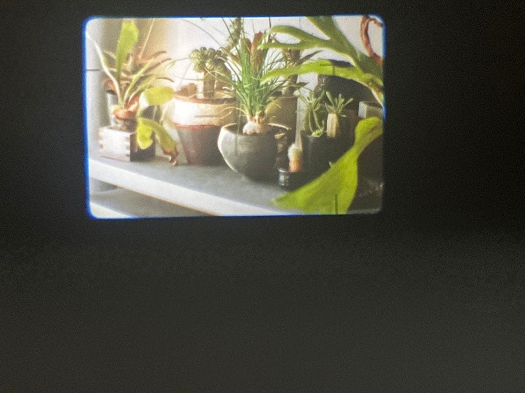 【完動品 美品】OLYMPUS μ【mju:】ZOOM 115 DELUXE