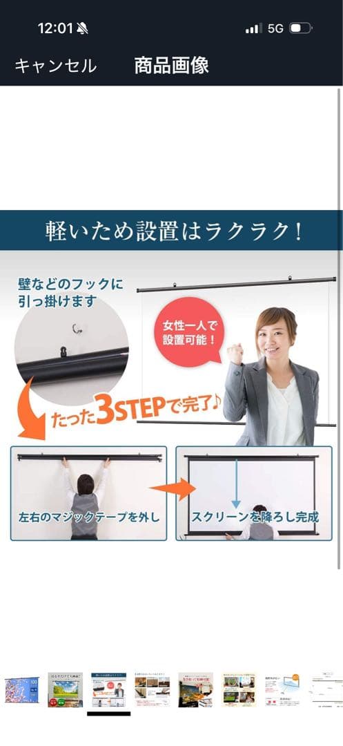 シアターハウス プロジェクター スクリーン 掛け軸タイプ 100インチ