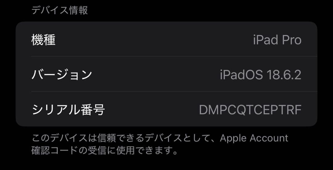 iPad Pro11インチ本体(Apple pencil付き) 背面傷あり