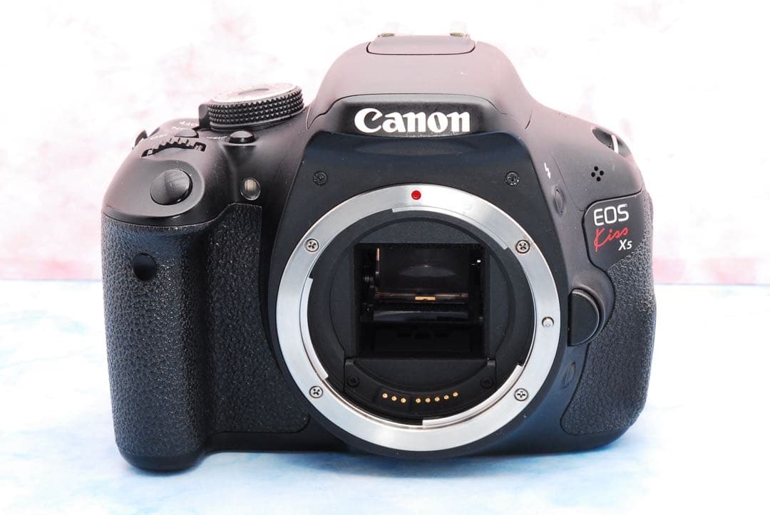 キャノン Kiss X5☆一眼レフカメラ☆カメラデビュー☆ブレずに簡単撮影