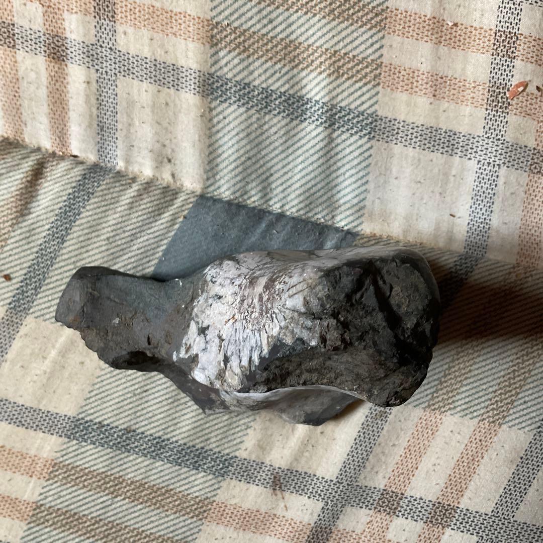 菊花石　根尾川産地物　台座無し　0.8kg 【産地物　極上美品　インテリアに】。