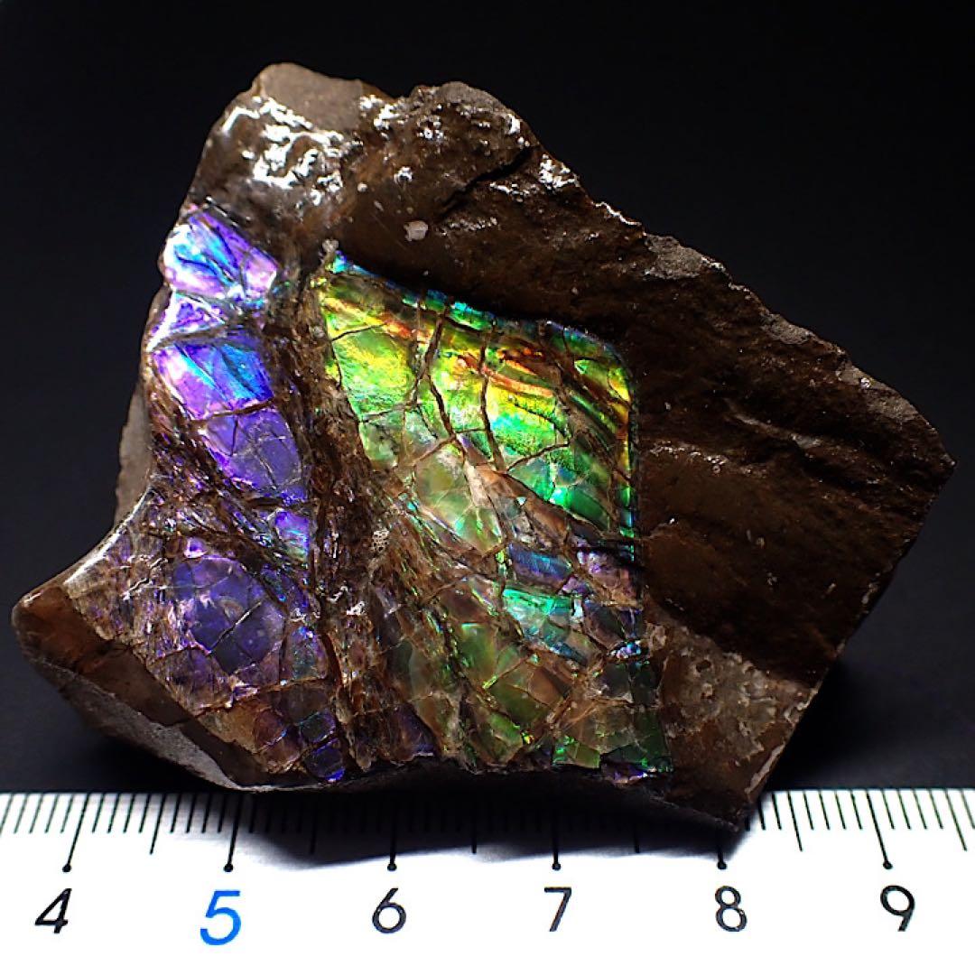 【カナダ/a産】アンモライト(プラセンチセラス)