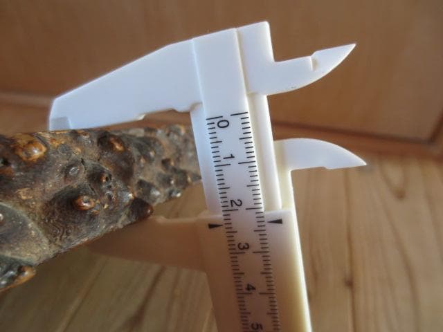 R8/2/4 葡萄杢敷板　地板　花台 盆栽台　水石　中国古玩　　幅57㎝