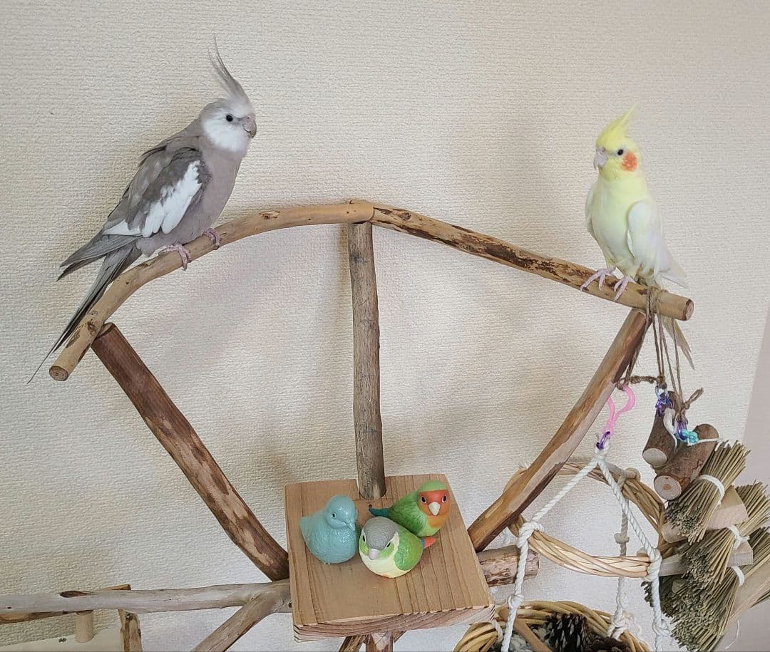 ① エリザ@プロフ必読‪☆おまとめで割引可能ページ　バードアスレチック