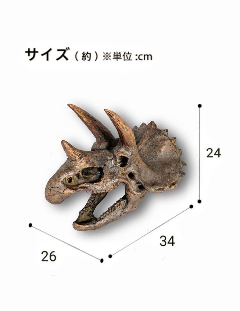 【DINOWORLD】トリケラトプス 頭骨レプリカ ※箱無し