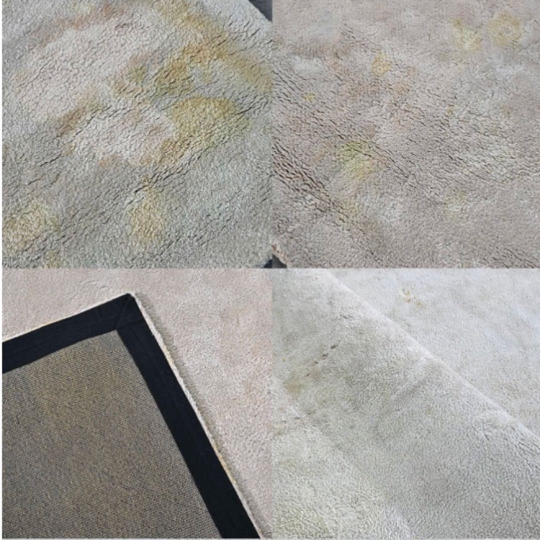 引取り限定Minotti 107万DIBBET ドルドーニ ラグ