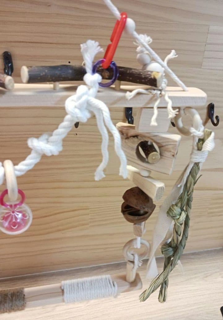 24　自然素材　バードアスレチック　ブランコ(大)インコ　バードトイ　止まり木