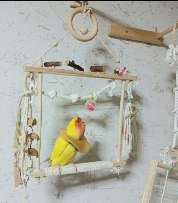 24　自然素材　バードアスレチック　ブランコ(大)インコ　バードトイ　止まり木