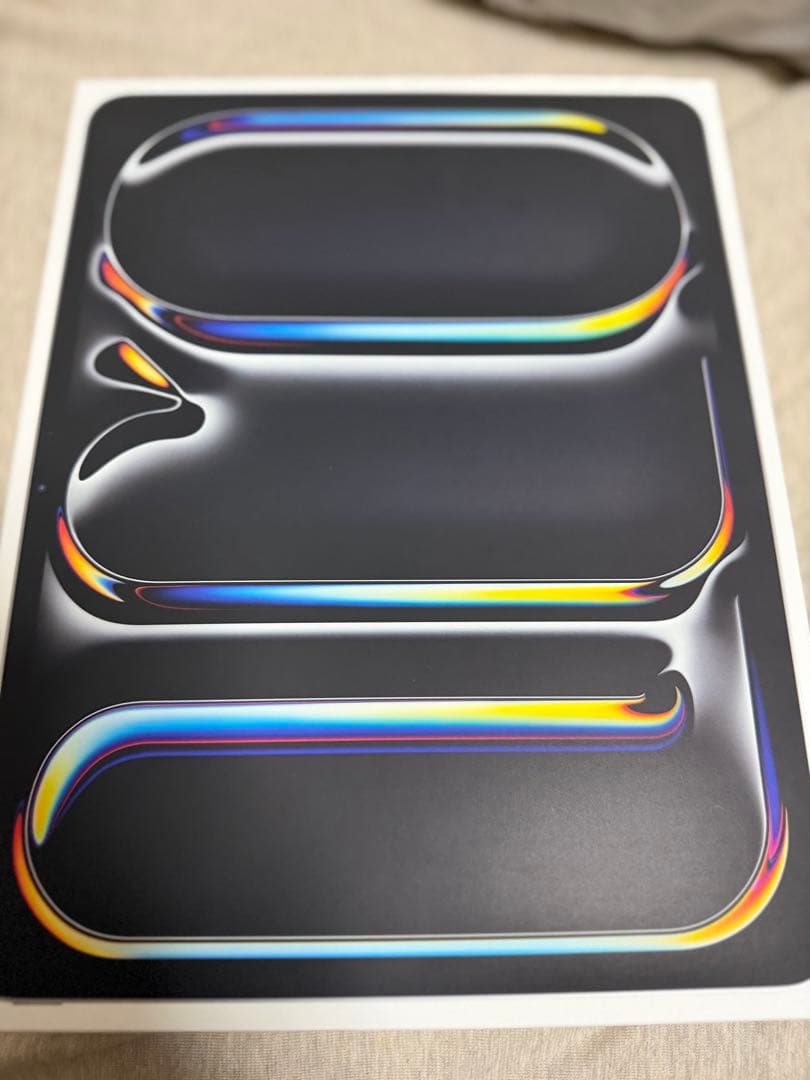 使用15日‼️iPad Pro (M5) 13(Apple care付き！)