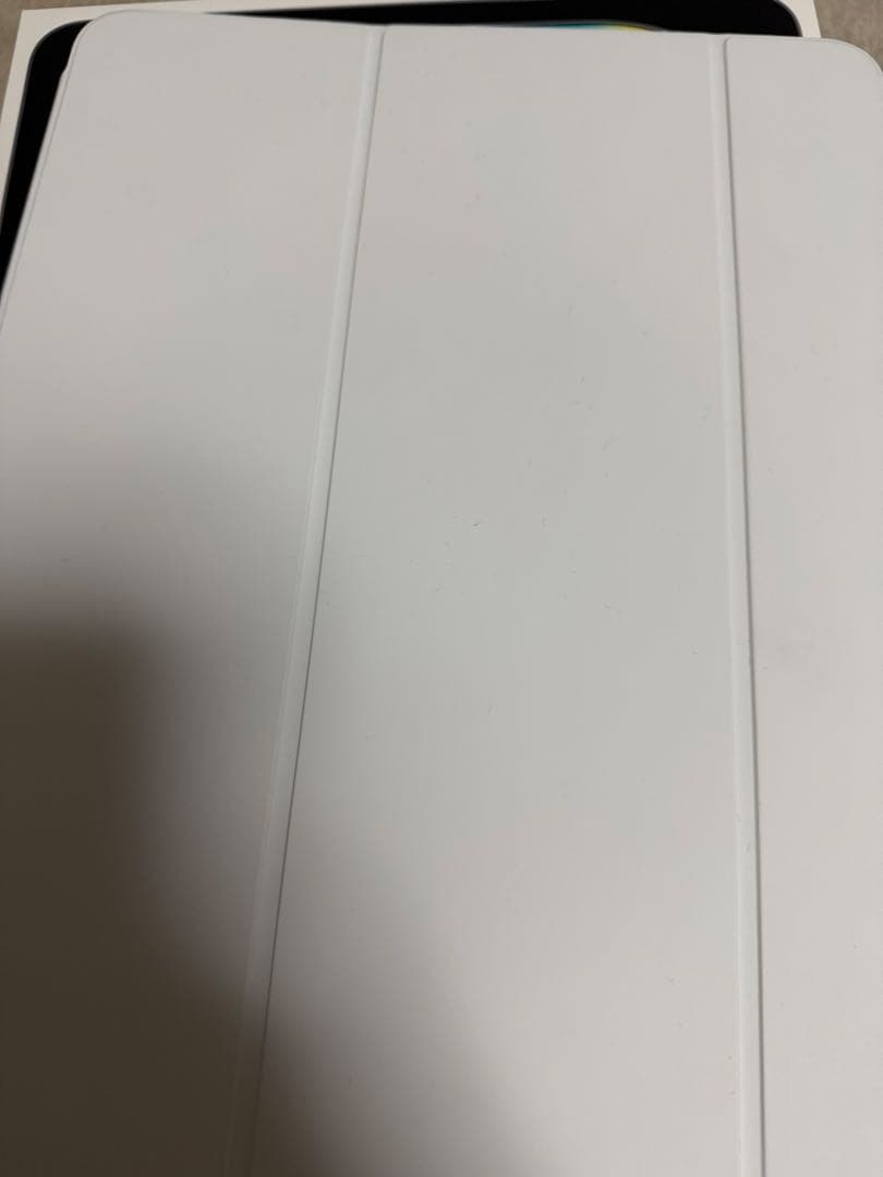 使用15日‼️iPad Pro (M5) 13(Apple care付き！)