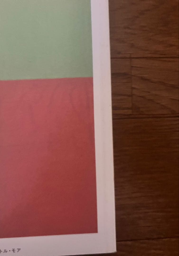 J*I様 美品　mark gonzales social problem 作品集