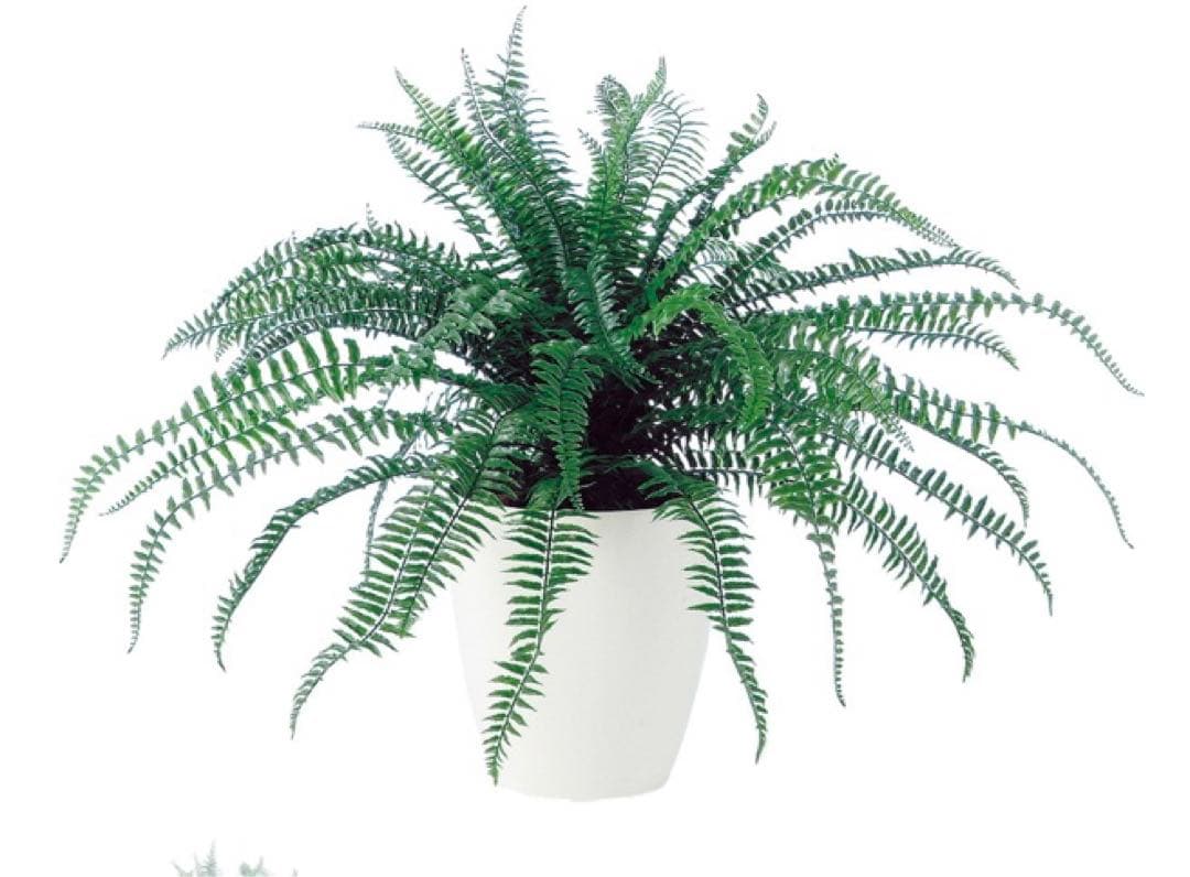 光触媒　人工観葉植物　ウォールグリーン　フェイクグリーン　特大ボストンファンR