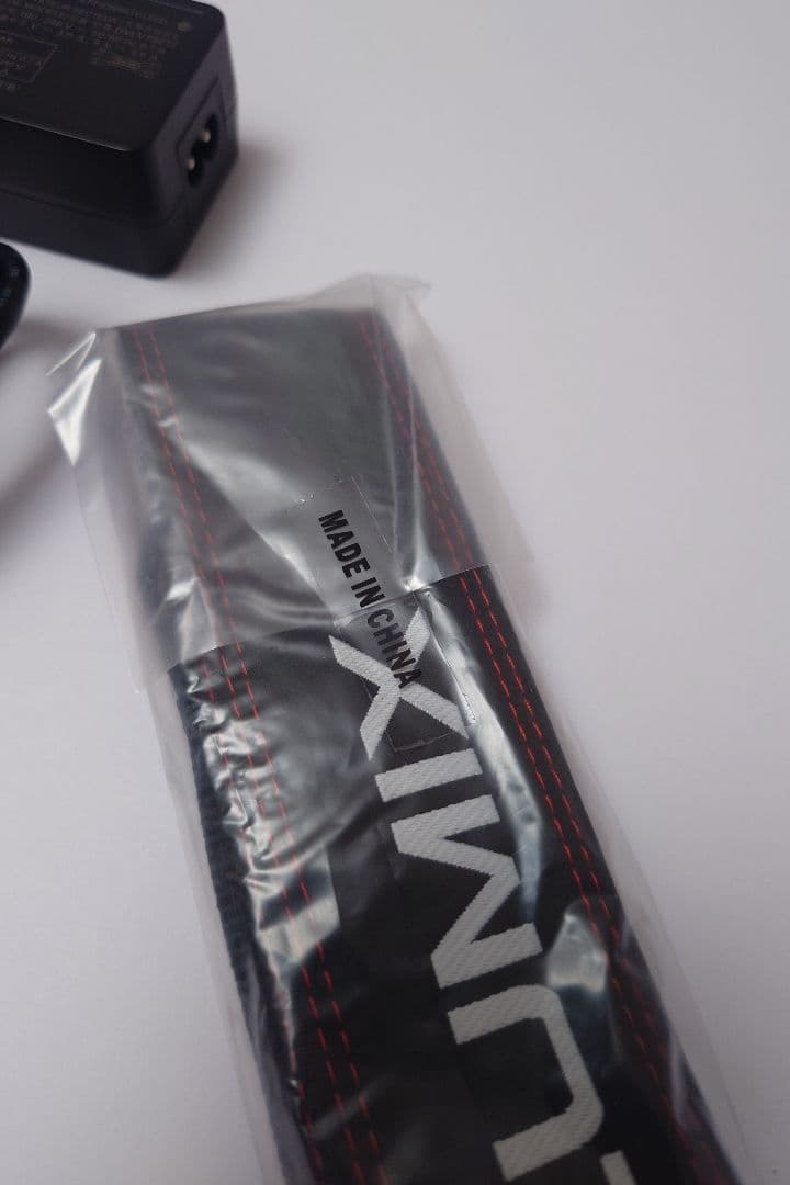 lumix s1r ボディ（日本仕様）　箱付属品あり美品