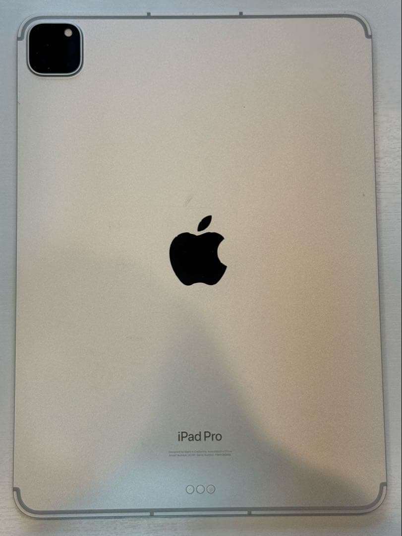 iPad Pro 11 (第4世代) 256GB Wi-Fi+Cellular