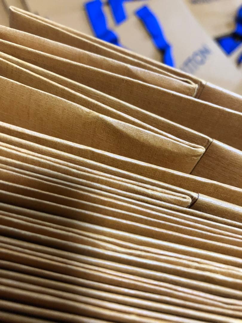 ルイヴィトン　小サイズショッパー65枚