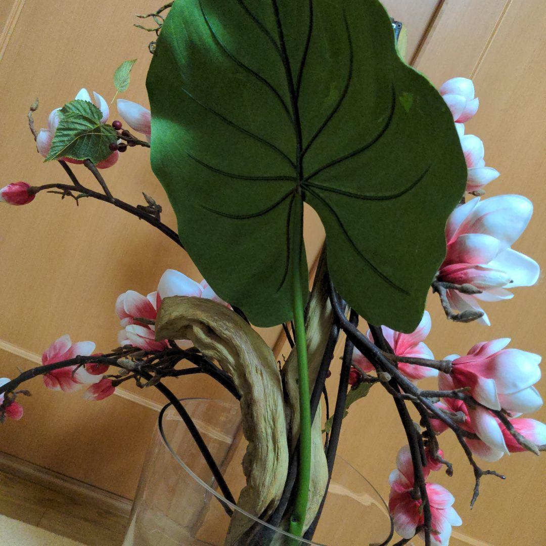 エミリオ・ロバ　モクレン　マグノリア