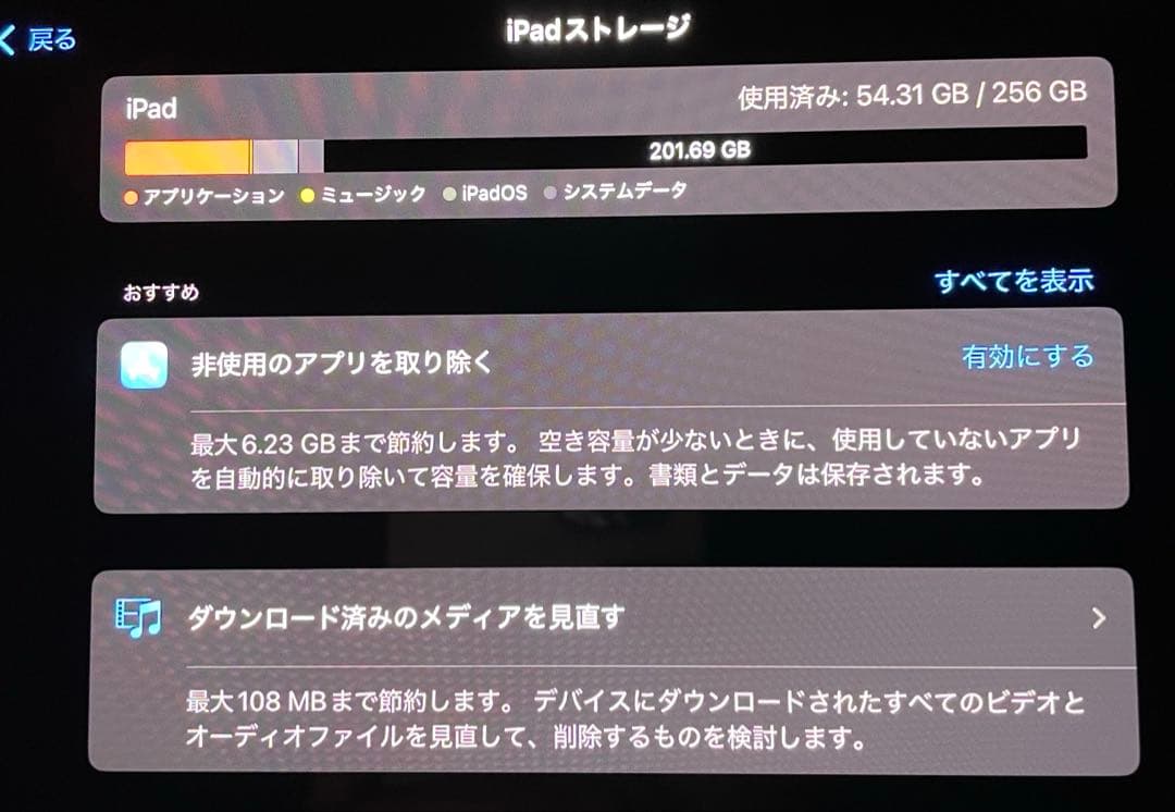 iPad pro 11インチ M4 【2024】 256GB Wi-Fi