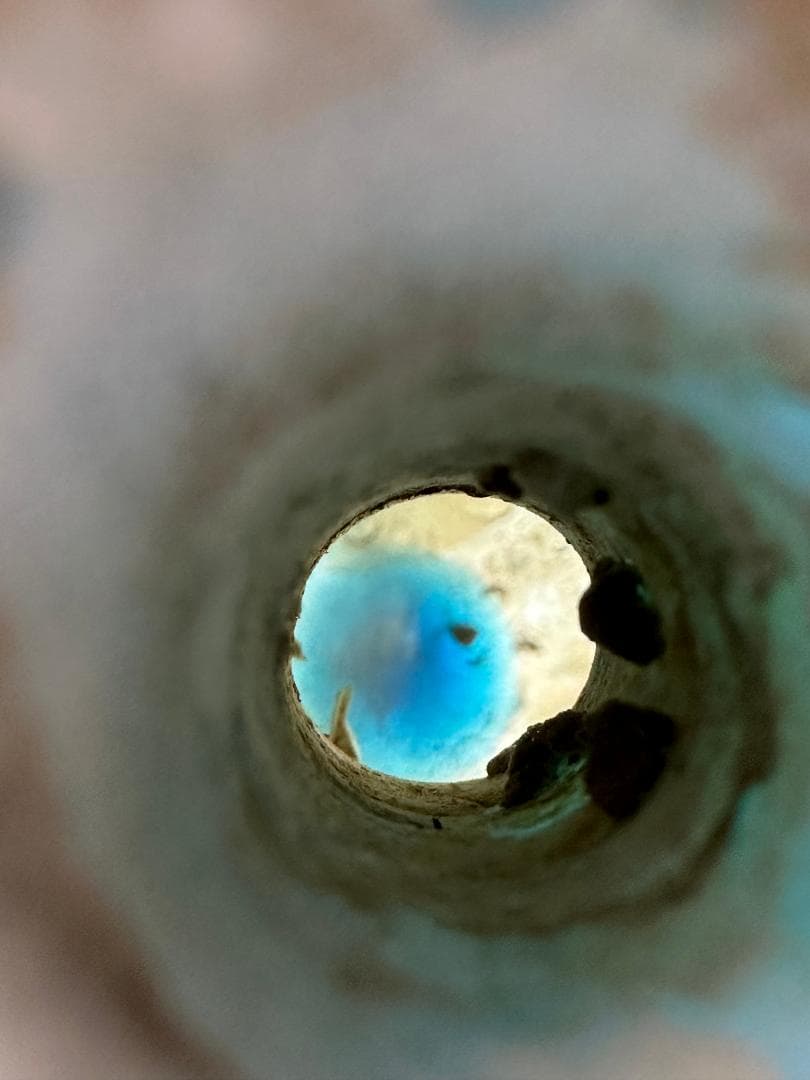 ローマガラス　羅馬硝子　花瓶　花入　花器　時代物