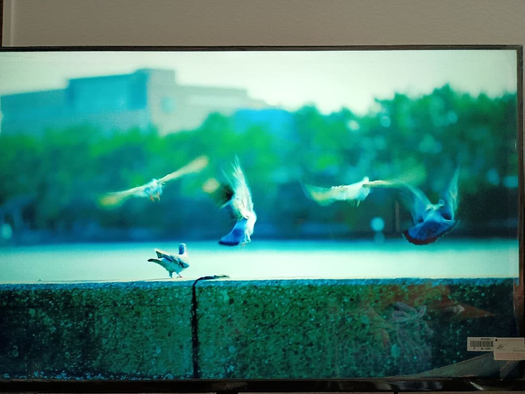 FPD チューナーレステレビ 43V型 4K Google TV ネット