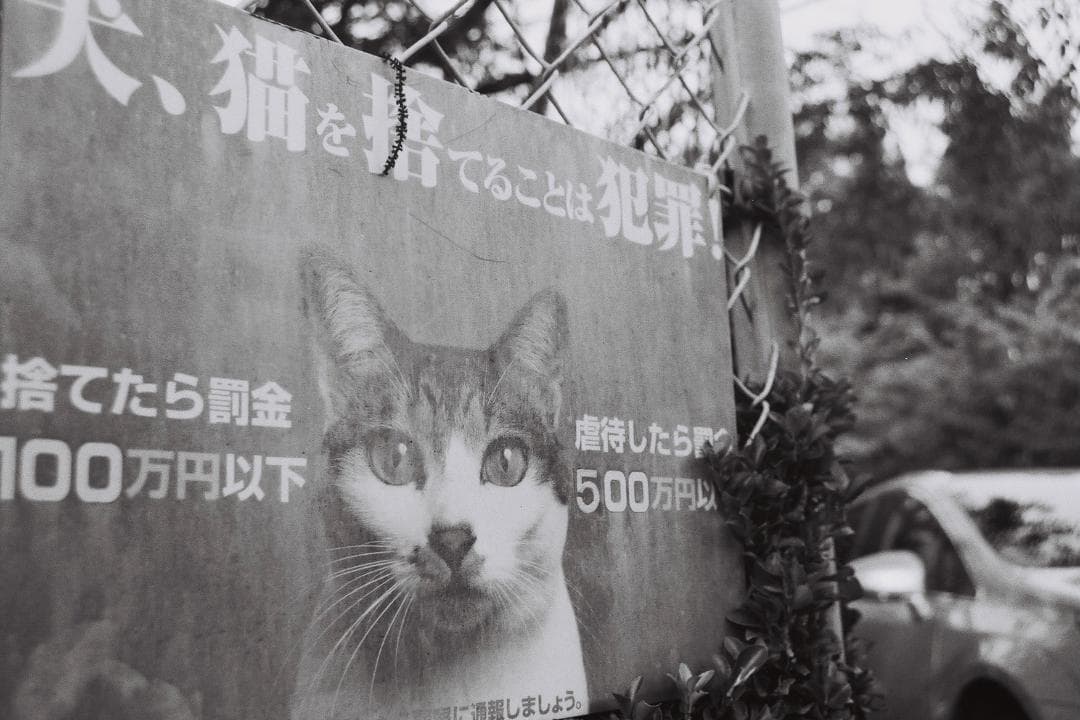 Nikomat EL　ALPEXレンズ付き実写済み