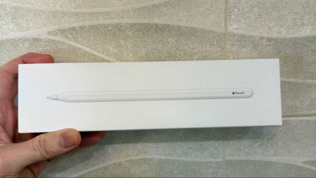 iPad本体 iPad pro12.9 256GB Wi-Fi + Cellular