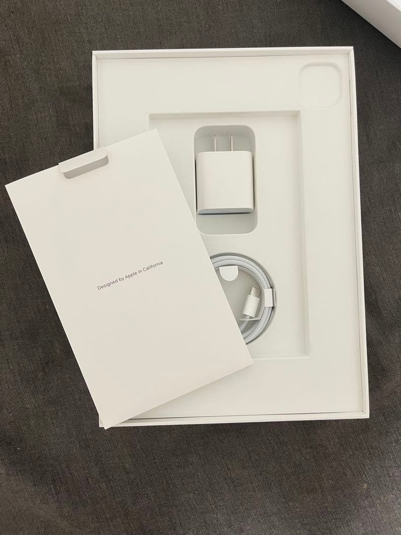 Apple iPad Pro 11インチ第5世代256GB