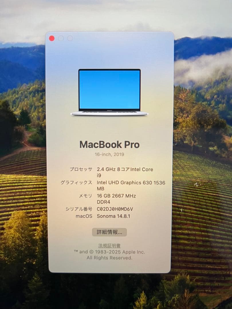 MacBook本体 MacBook Pro 2019 16inch i9 16gb 512gb