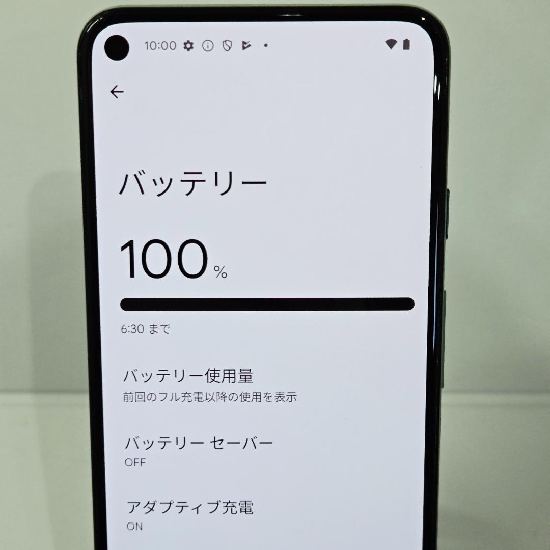 01 Google Pixel 5 ソータセージ SIMフリー