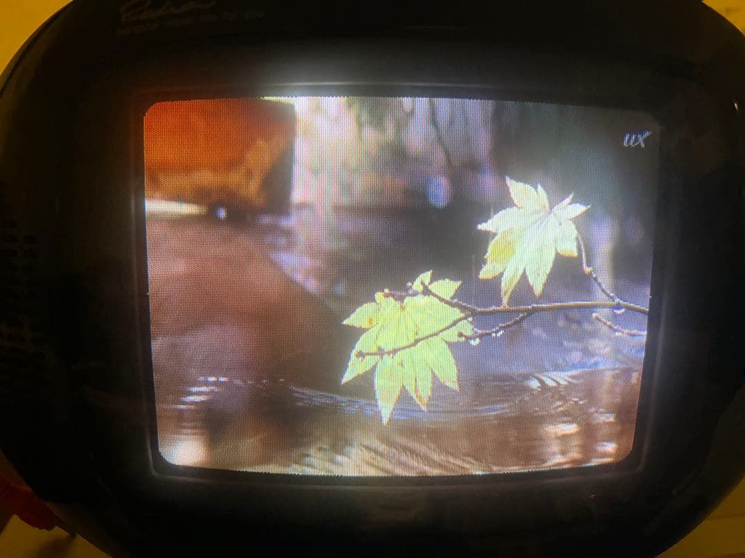 パナソニックカラーテレビ Piedra TH-8U3