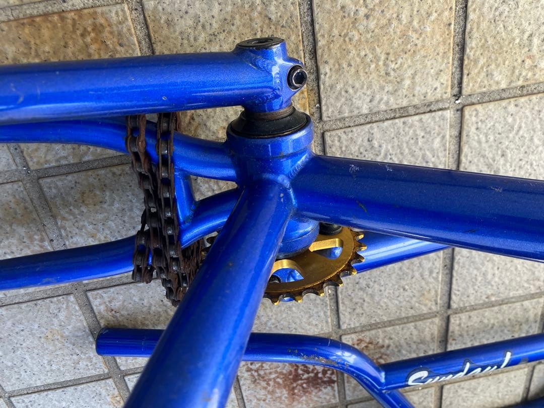 Sunday! GARY YOUNG EX BMX フレームセット 青 20