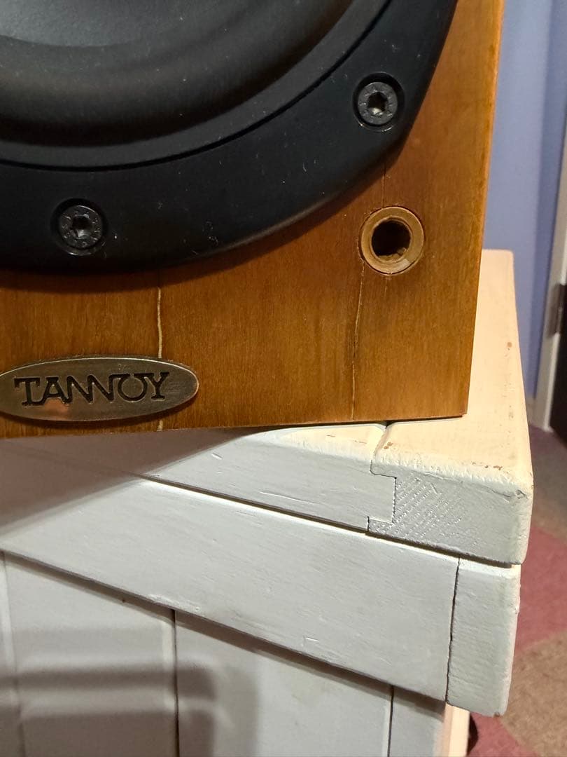 スピーカー・ウーファー zappamanTANNOY revolution r1