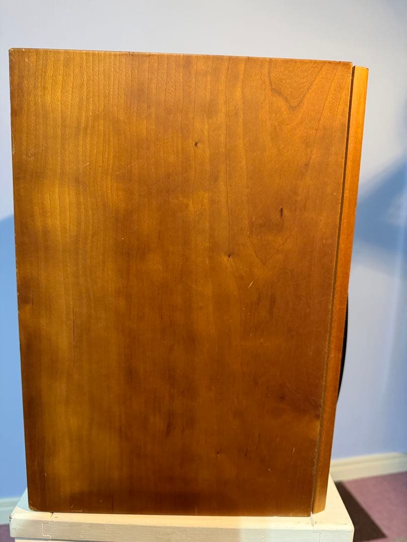 スピーカー・ウーファー zappamanTANNOY revolution r1