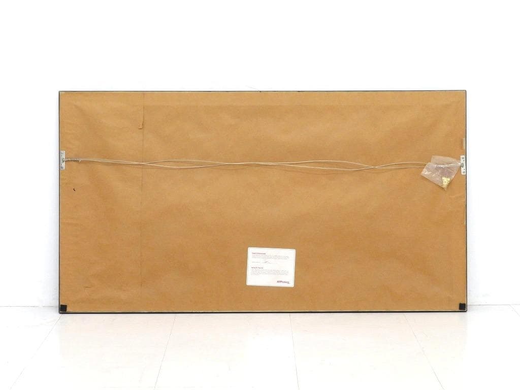 スティーブスティグマン　マクセル　Blown Away　アート　芸術