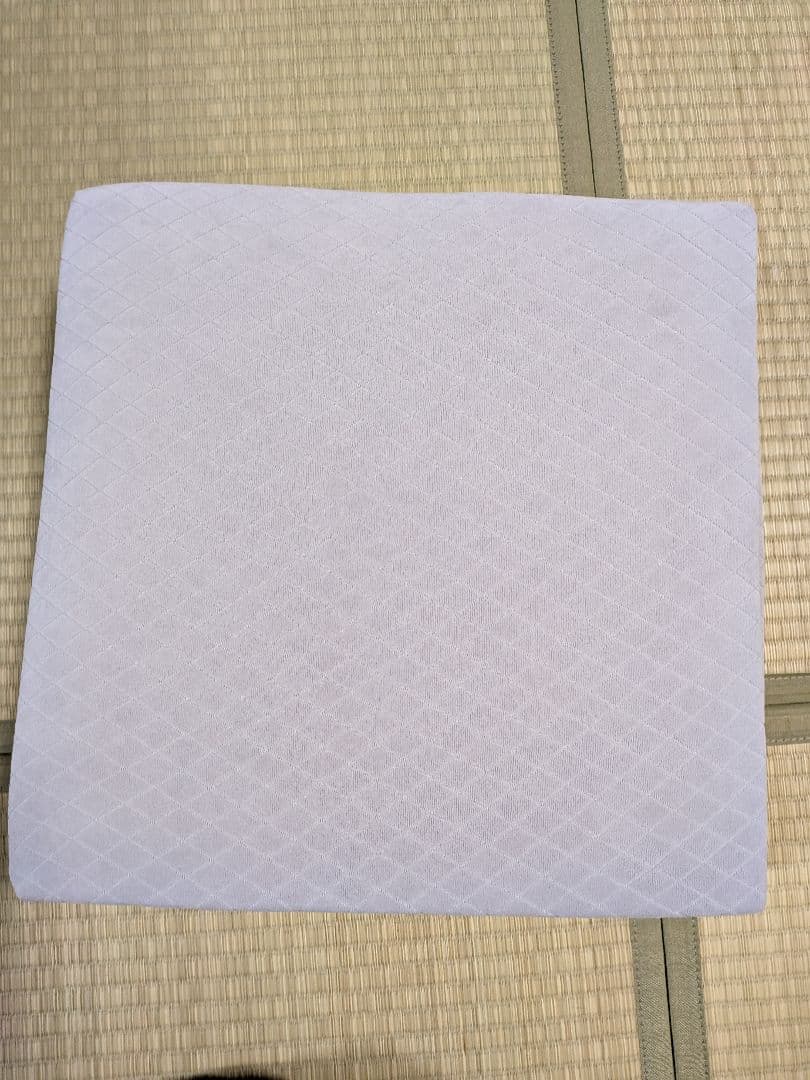 西川　ボナノッテプレミアム　シートクッション2個セット