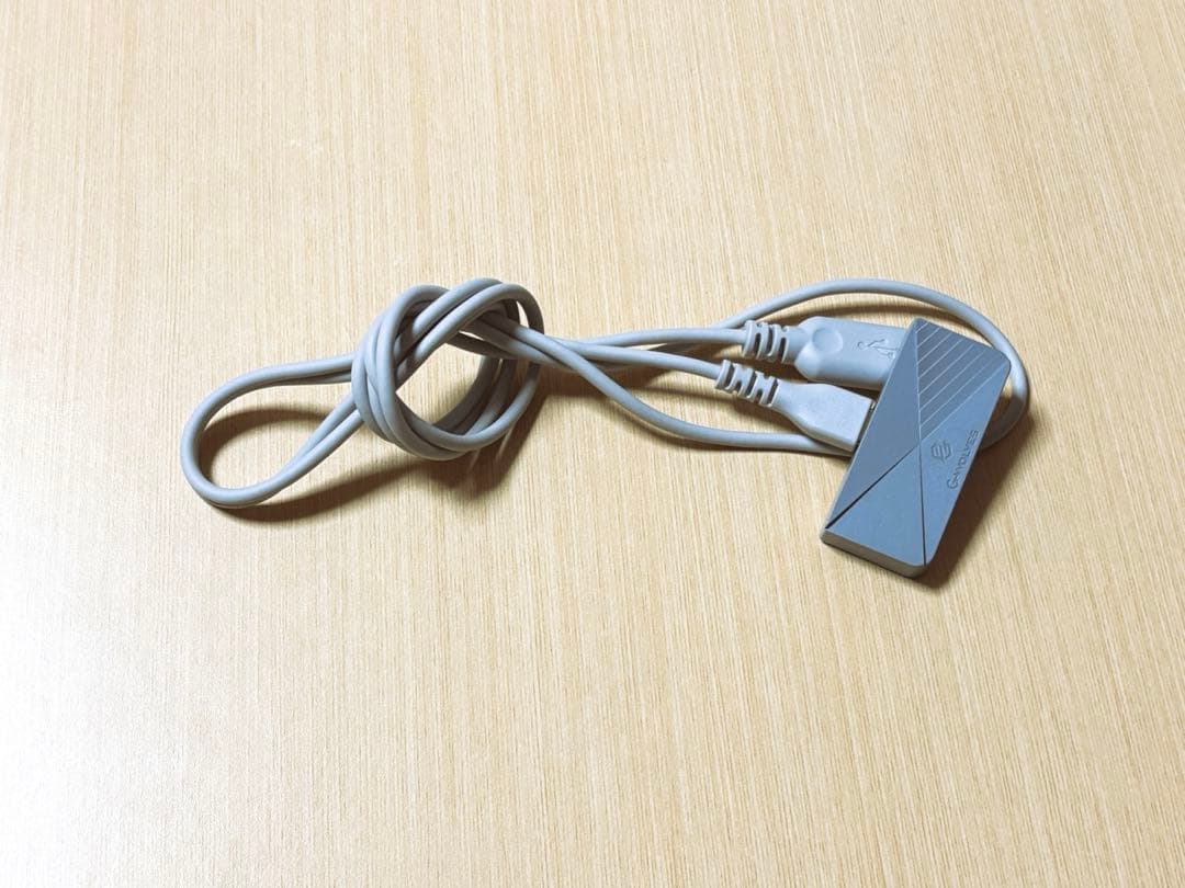 【プス】【美品・消毒済】値引き可　gwolves hts plus 4k